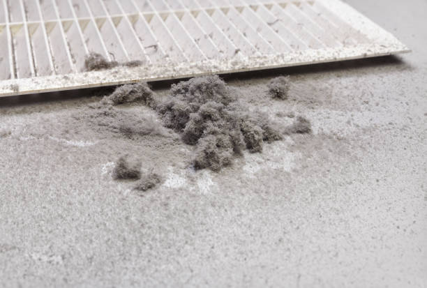 Best HVAC Duct Inspection Services  in Plainview, NY